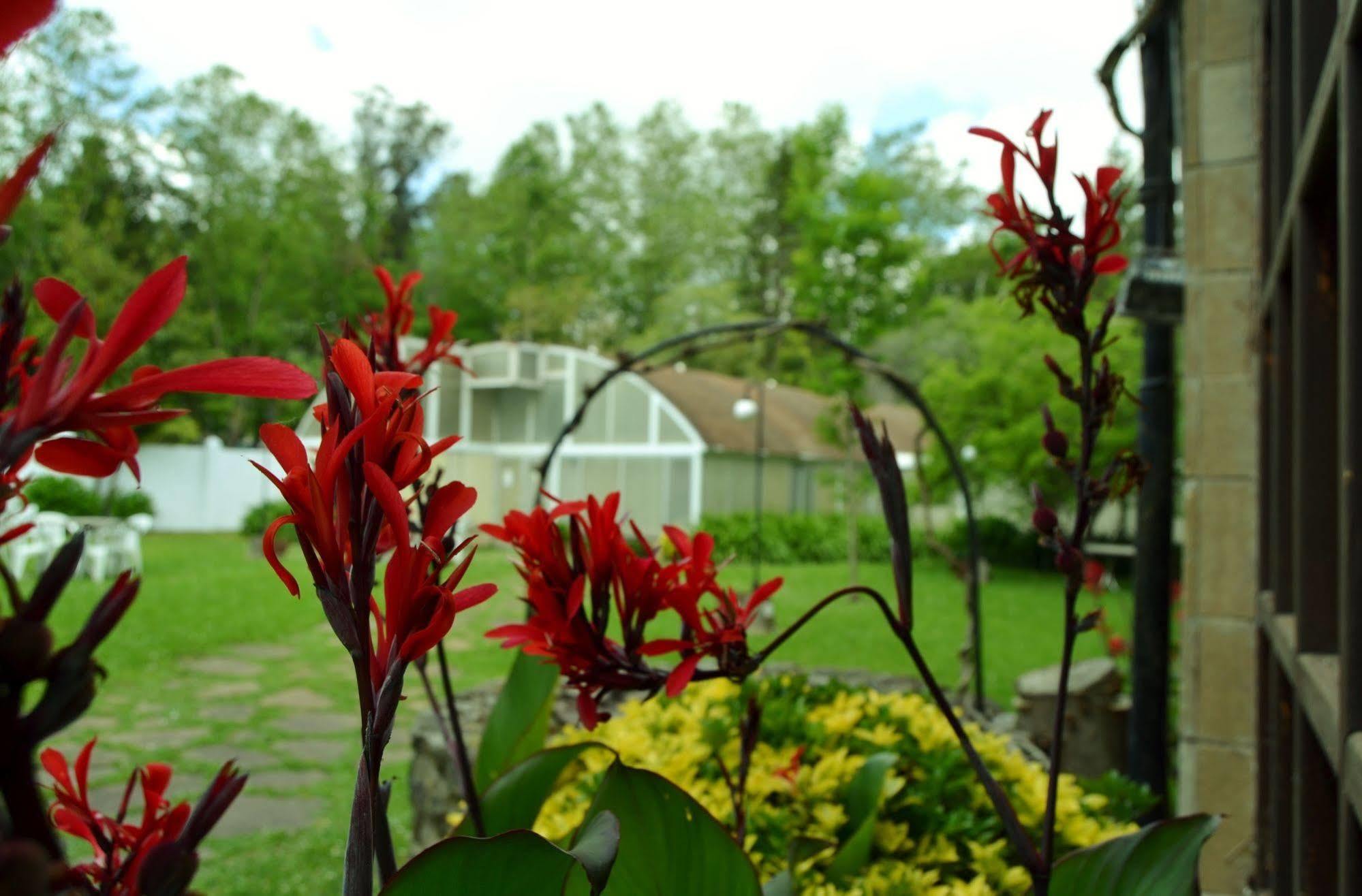 Hotel Termas De Liérganes Dış mekan fotoğraf